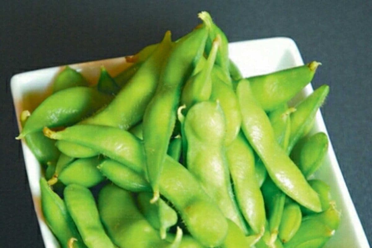 Sea Salt Edamame