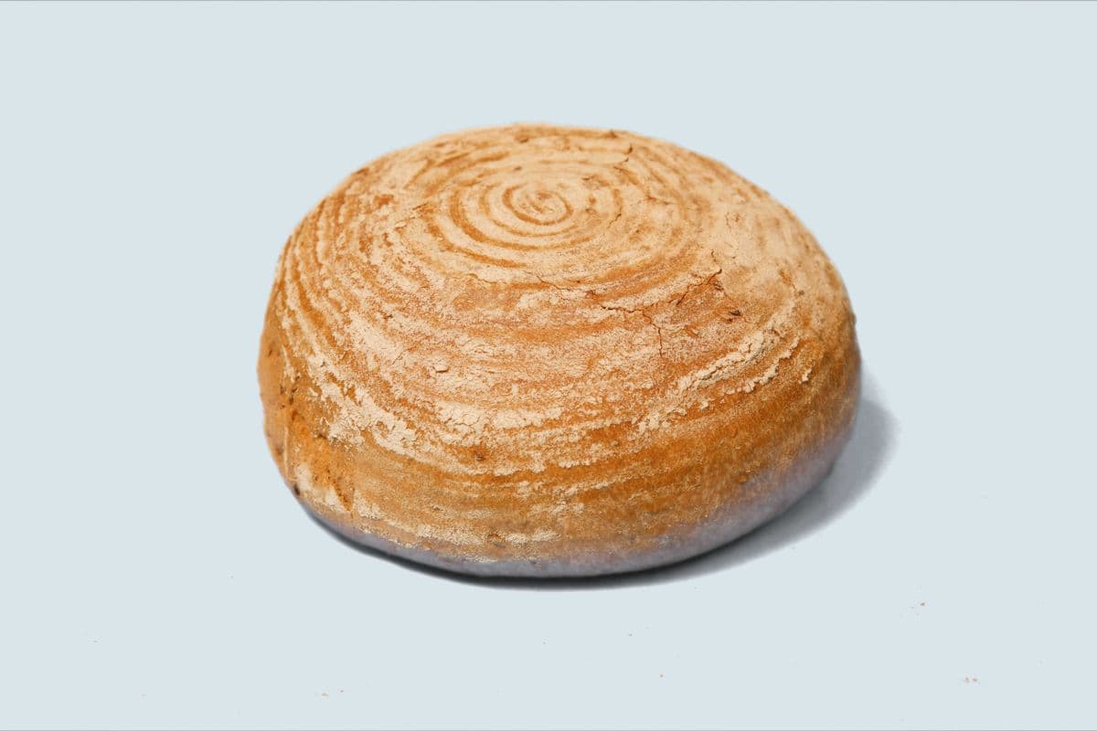 Plain Sourdough