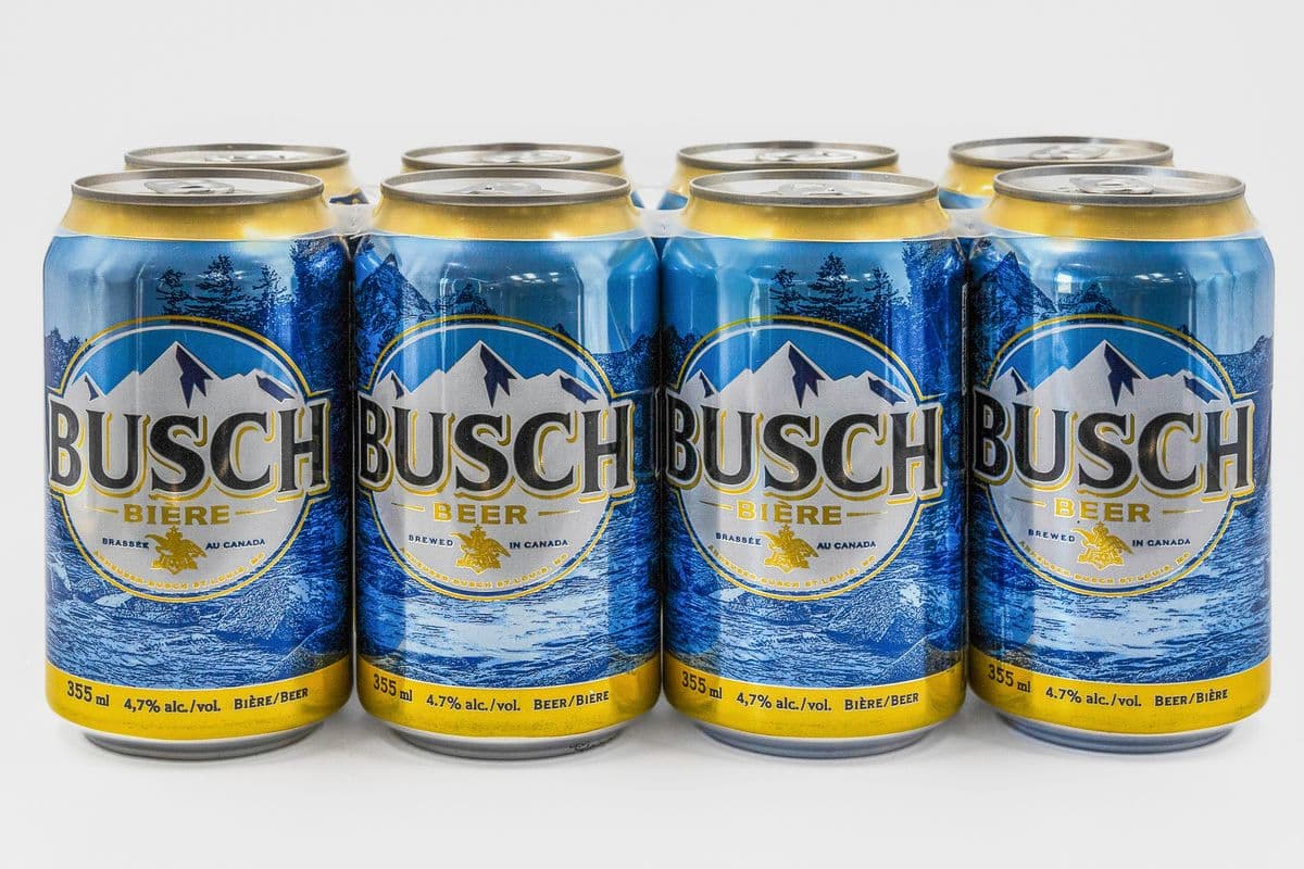 Busch (8 x 355 ml)