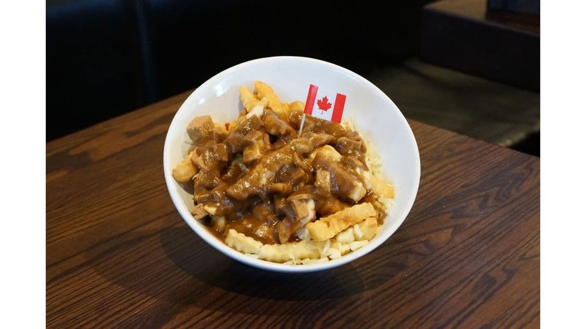 Large Donair Poutine