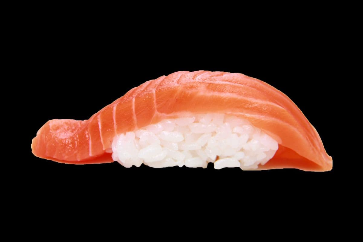 Salmon Nigiri Sushi