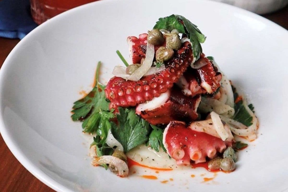 Grilled Octopus