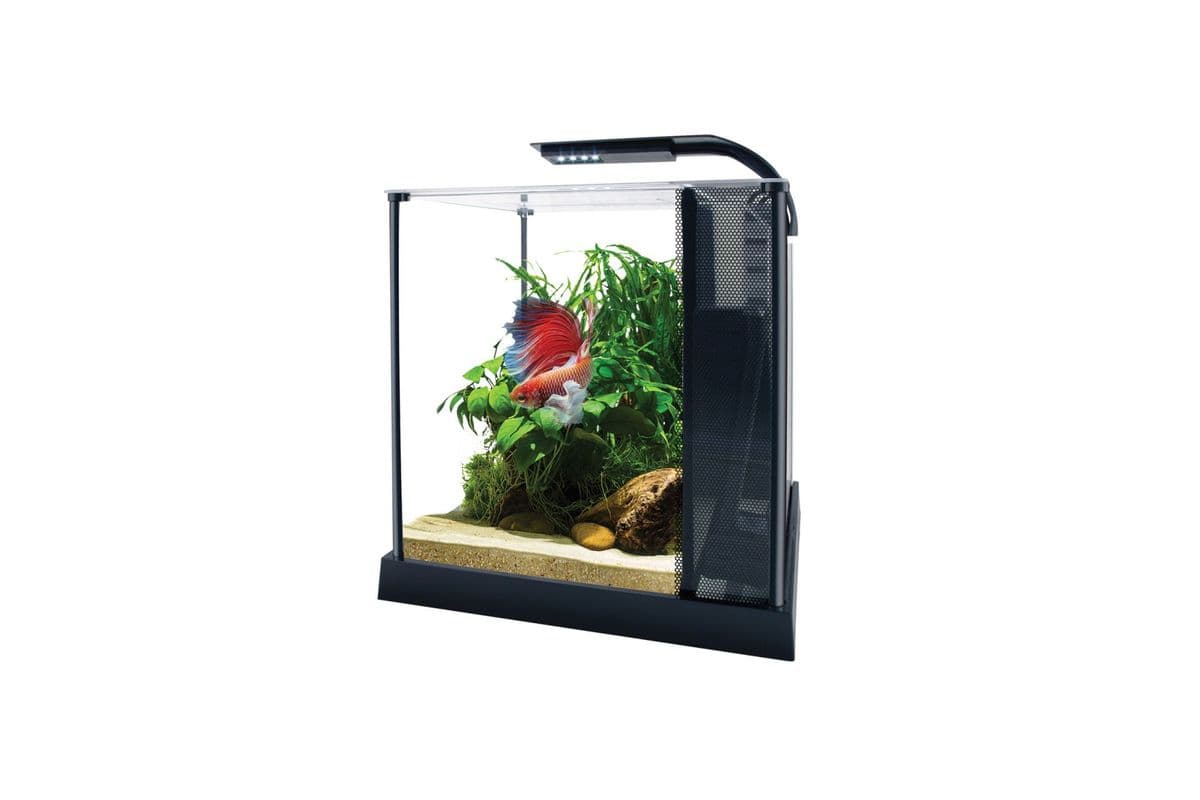 Fluval Betta Premium Aquarium Kit (2.6 gal)