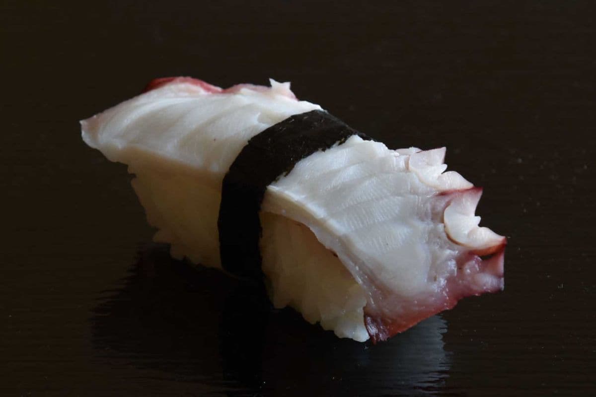 Tako Nigiri