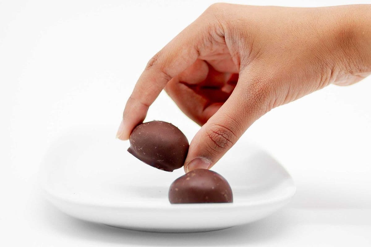 Chocolate Protein Bites
