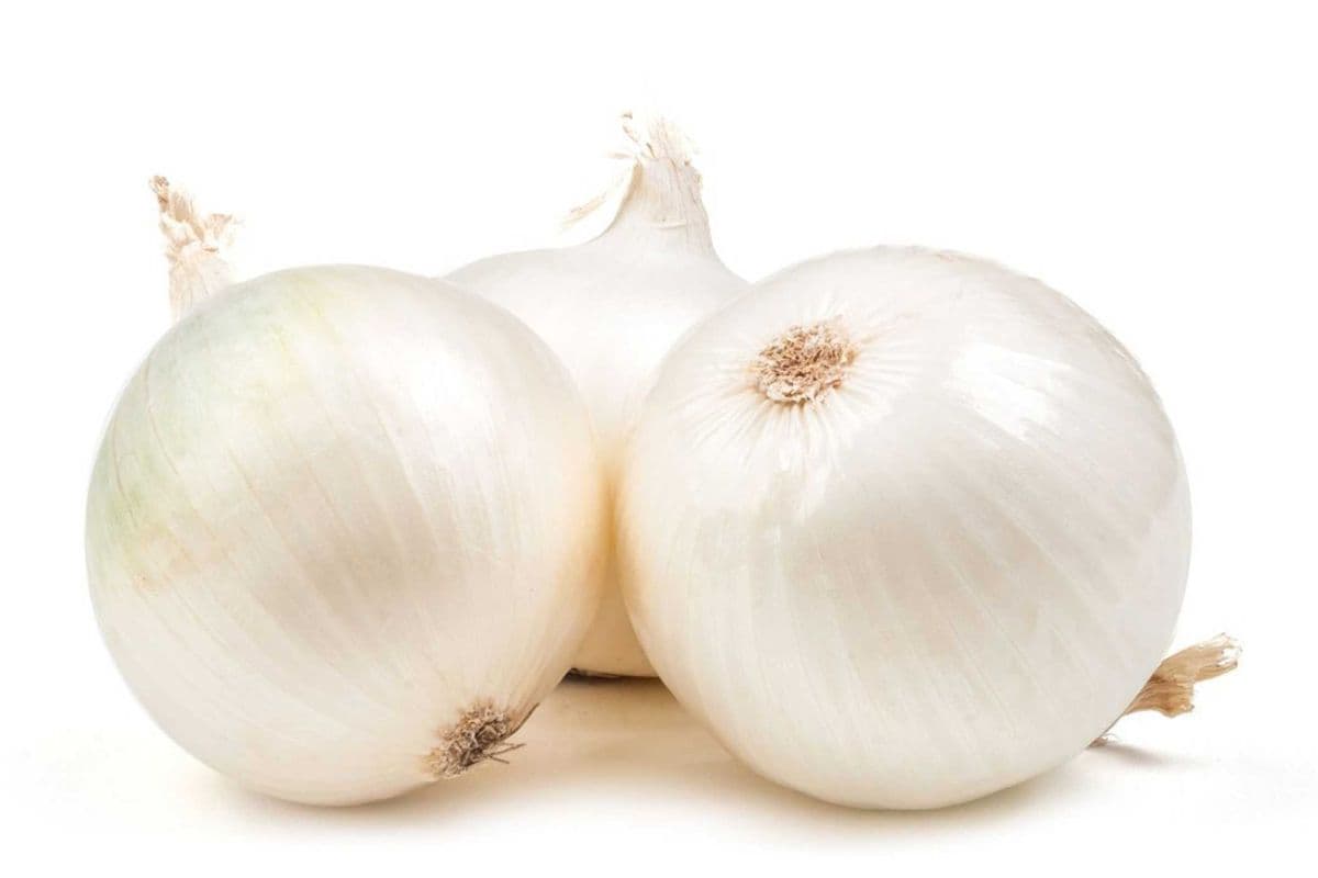 Sac d'Oignons/Onion Bag 2lbs