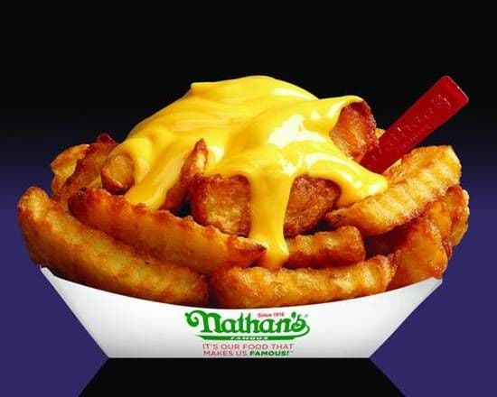 Large Cheese Fries