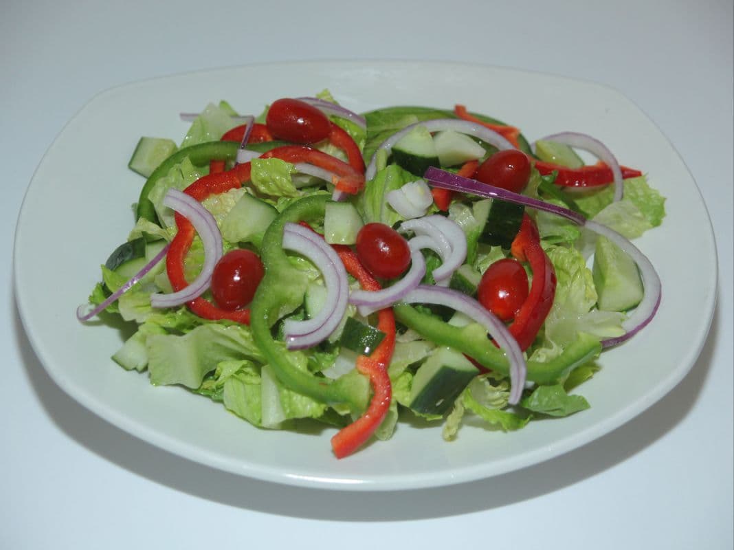 Garden Salad Regualar.