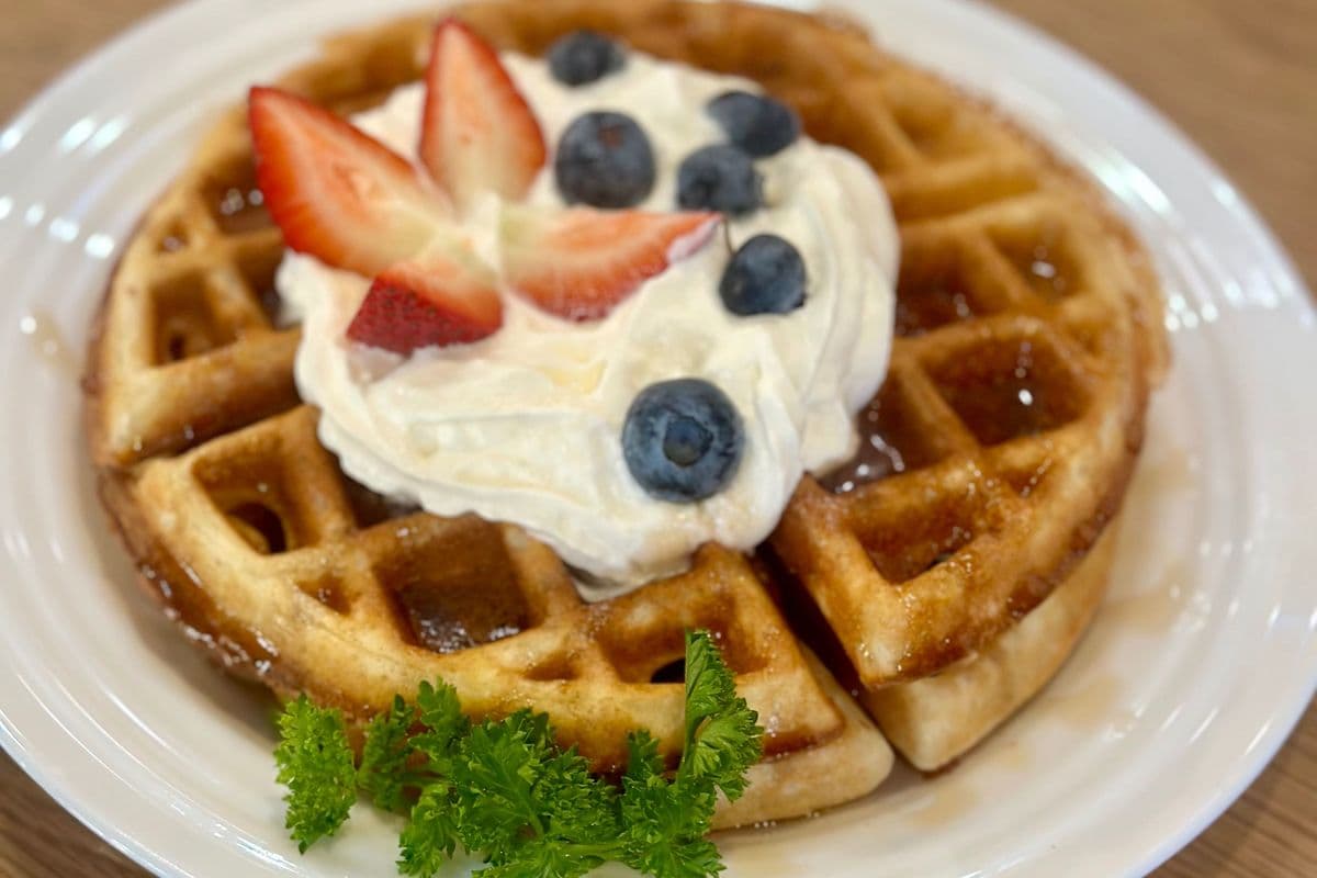Plain waffle