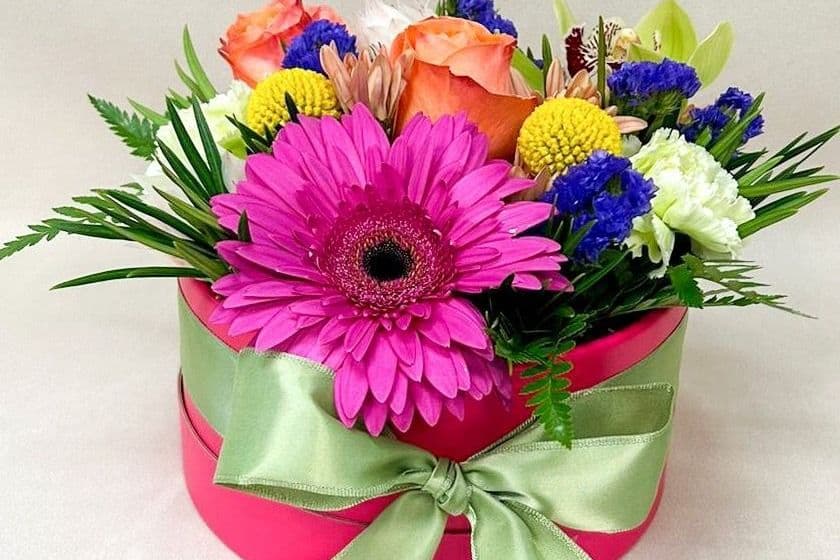 Signature Collection Happy LIFE