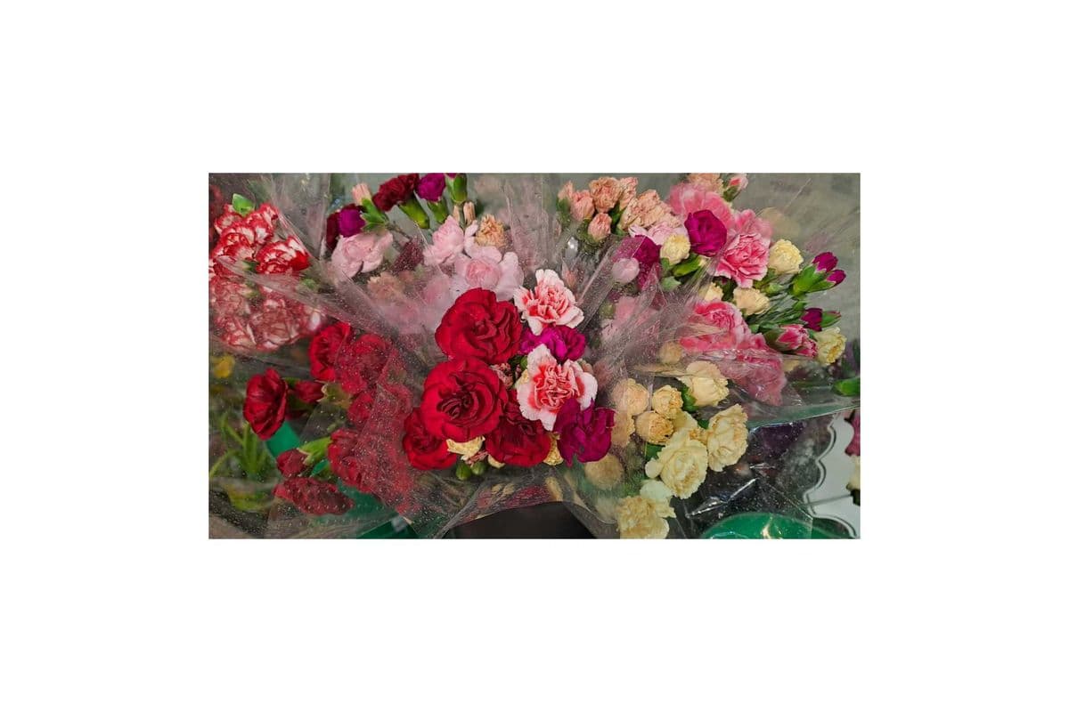 Pink/Red/White/Yellow Mini Carnations