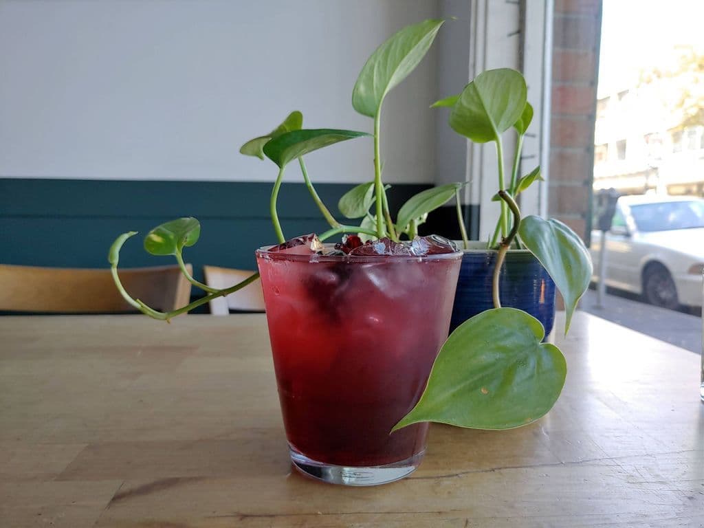 Hibiscus Iced Tea