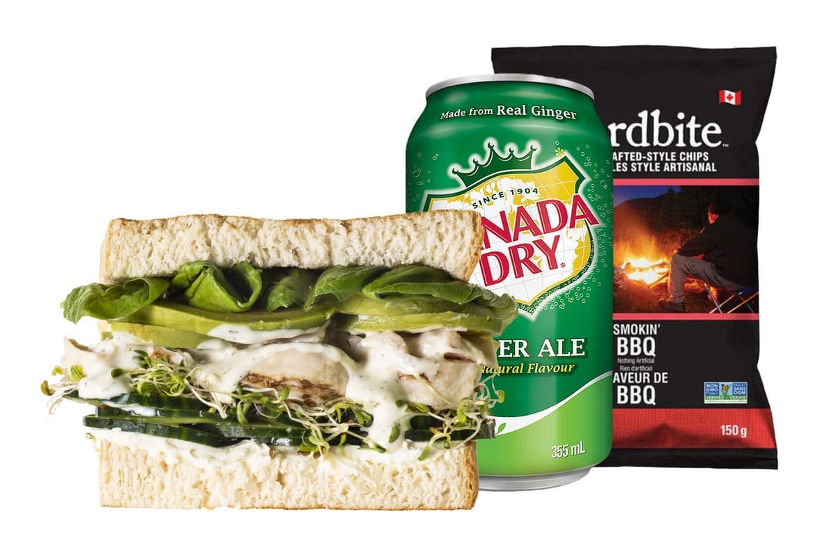 The Dilbert Combo (Regular Size)