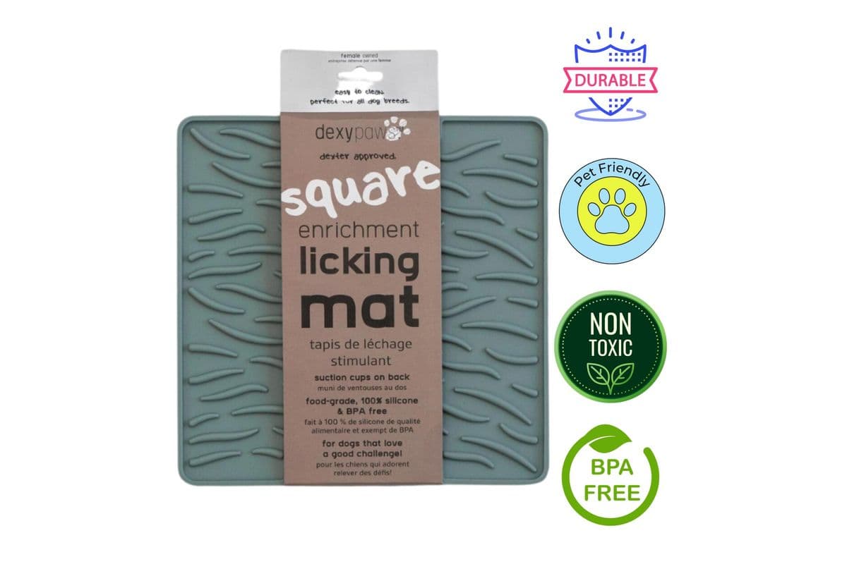Dexypaws Textured Enrichment Licking Mat In Seafoam