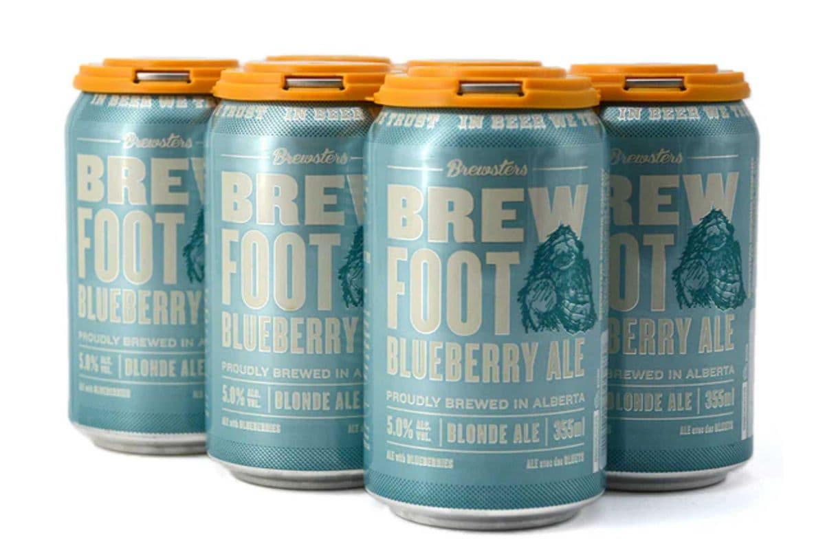 Brewsters Brew Foot Blueberry (6 Cans) (6 x 6*355ML)
