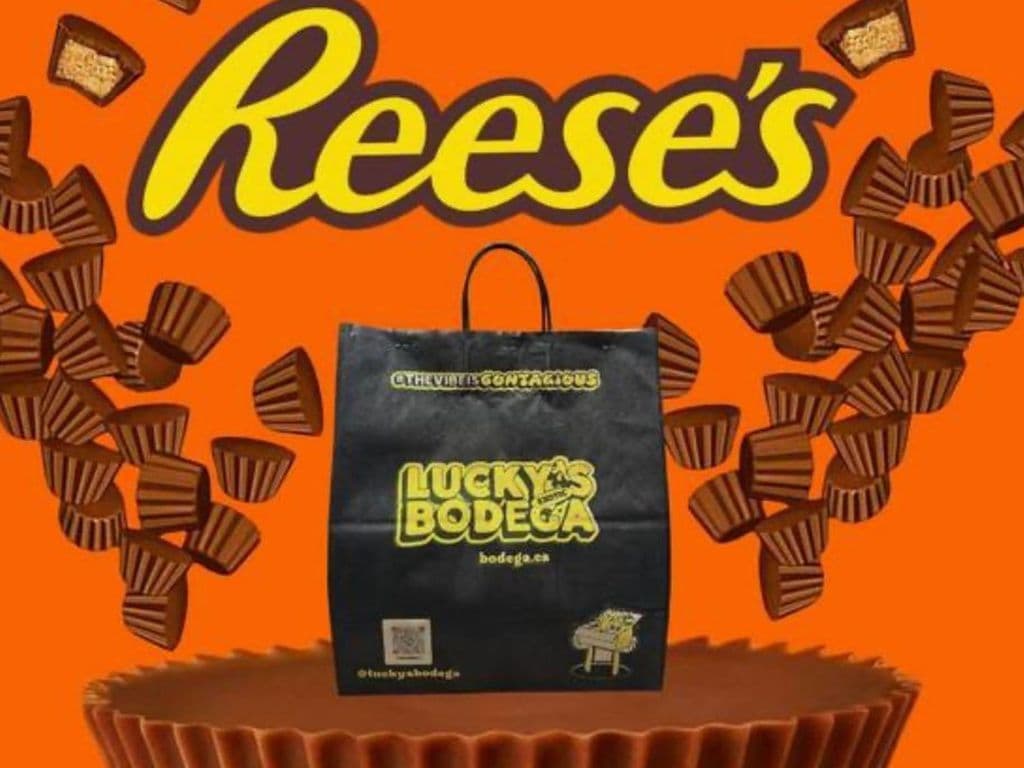REESE'S MYSTERY BAG