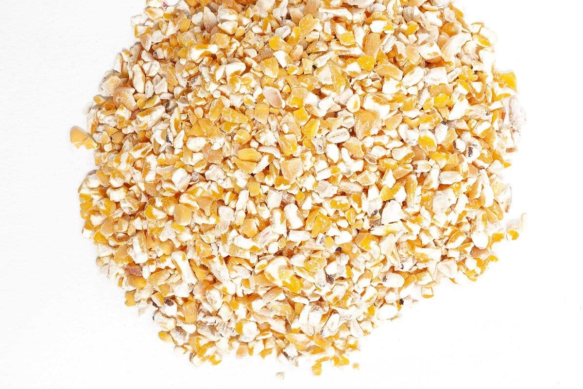 Cage Corn (10 lbs)