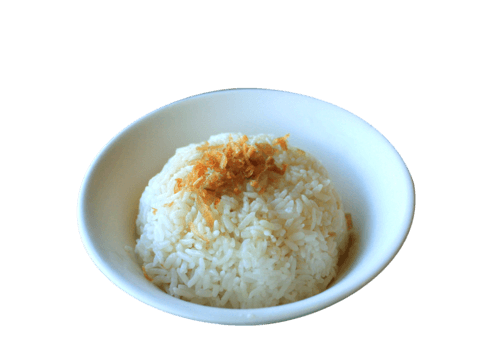 蔥油飯一碗 / A bowl of Onion Oil Rice