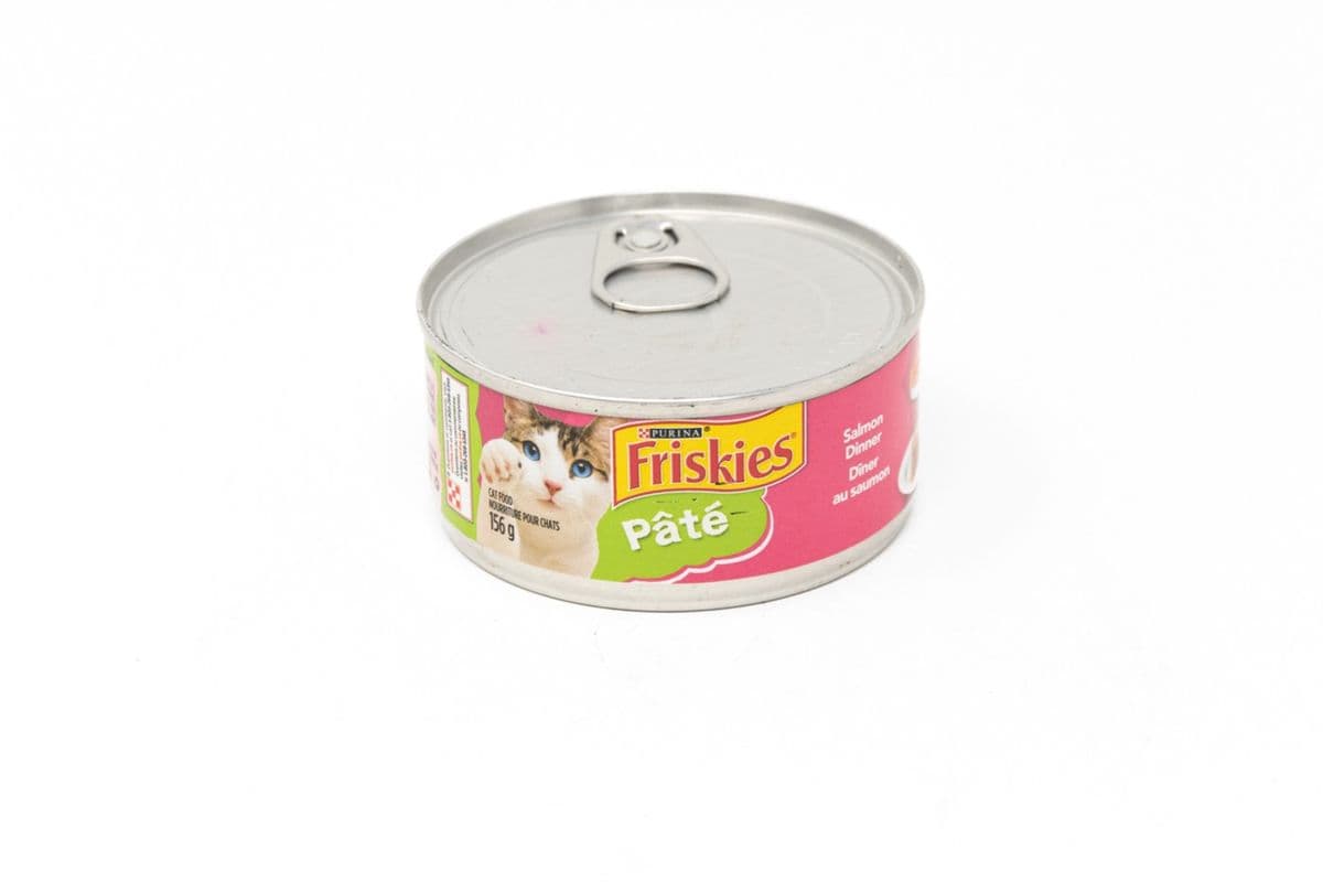 Friskies Salmon Dinner (156 g)