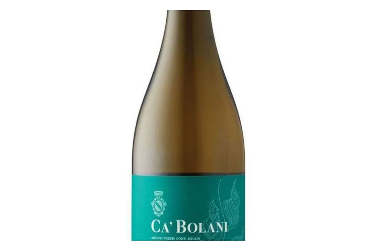 Cabolani Pinot Grigio 750ml bouteille de vin (13% ABV) (1 x 750ml)