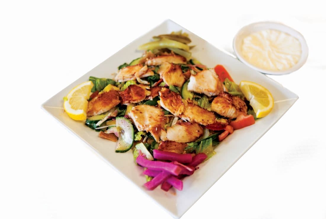 Chicken Salad Medium