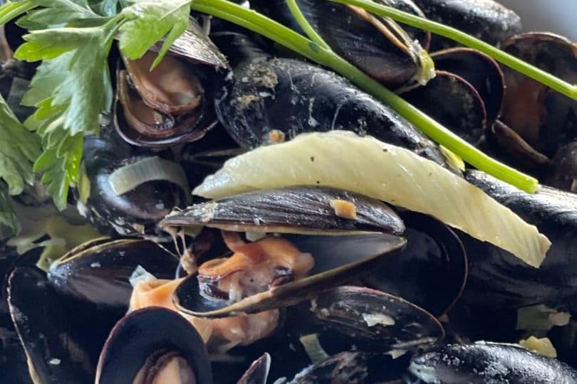 Mussels with Pernod Cream Sauce