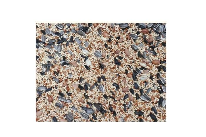 Wild Bird Premium Seed (10 lb)