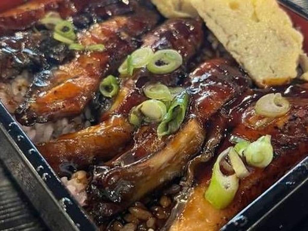 Unagi Don