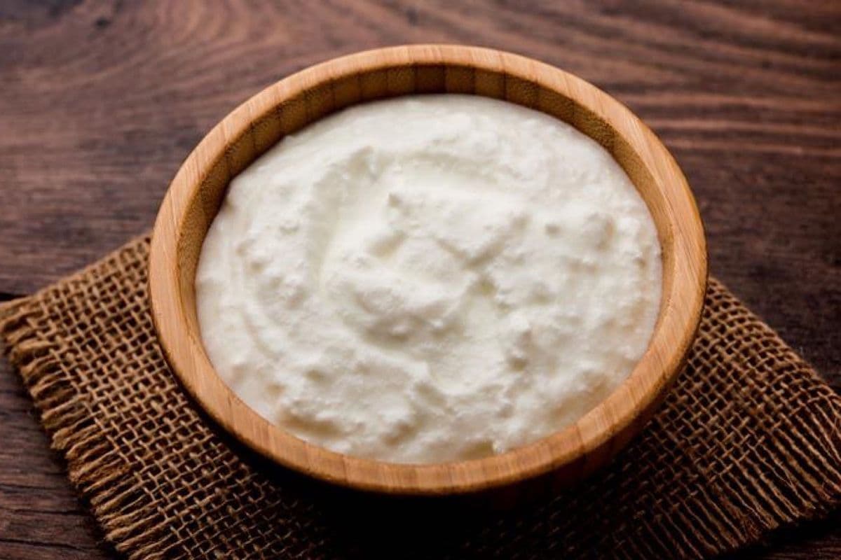 Plain Dahi