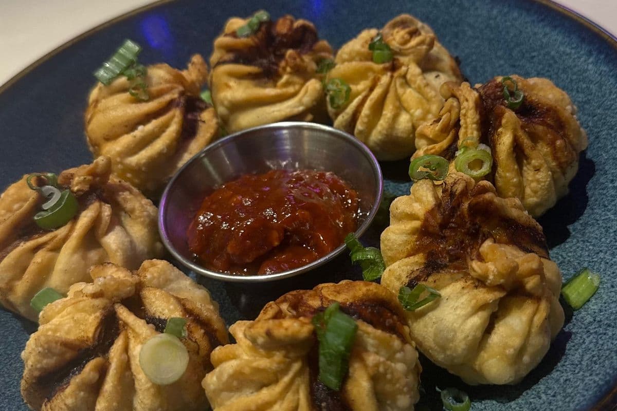 Fried Euphoria Veg Momos