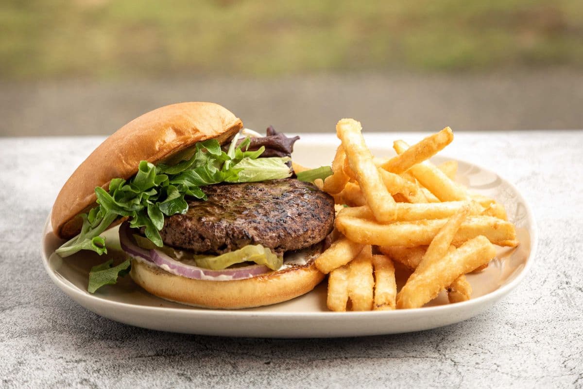 Plain Burger