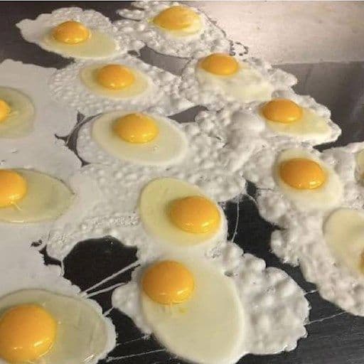 Œufs / Eggs