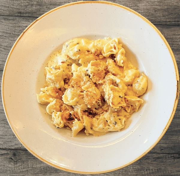 Alfredo Al Forno Feature