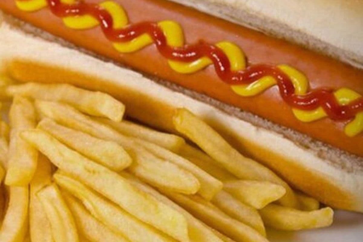 Kids Hot Dog and Fries