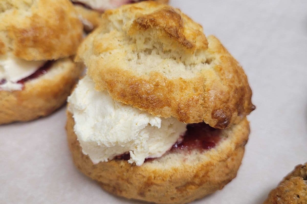 Victoria Scone