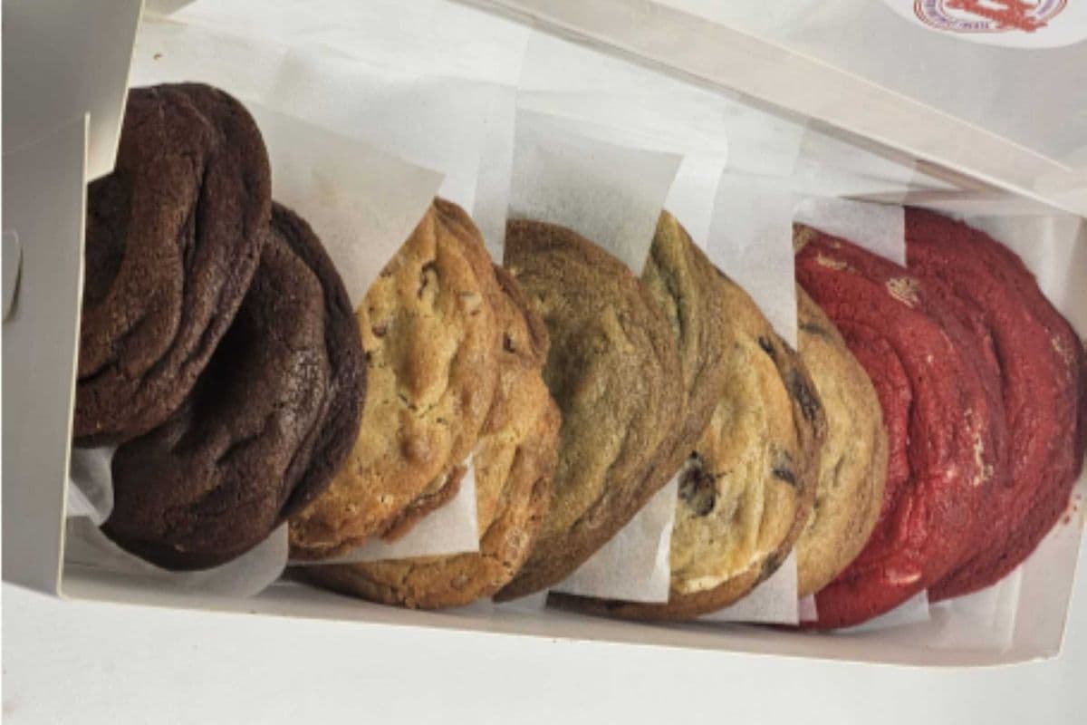 Pack of 12 Regular Cookies