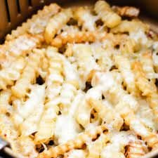 Large Cheese Fries