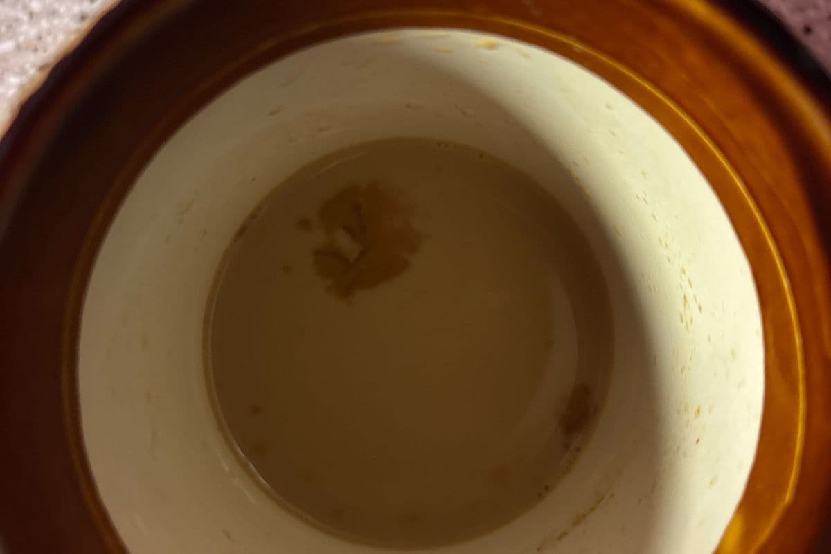 Masala tea