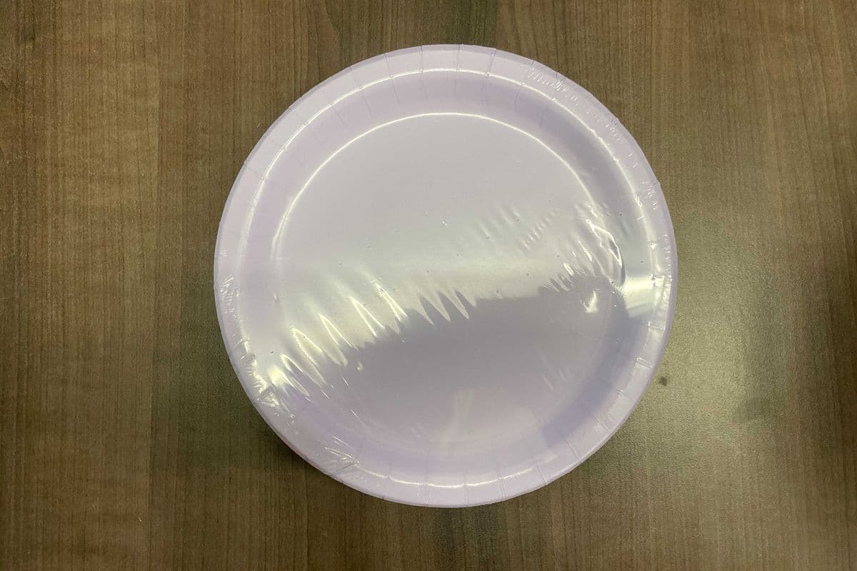 8 Lavender 9" Plates (8 Pack)