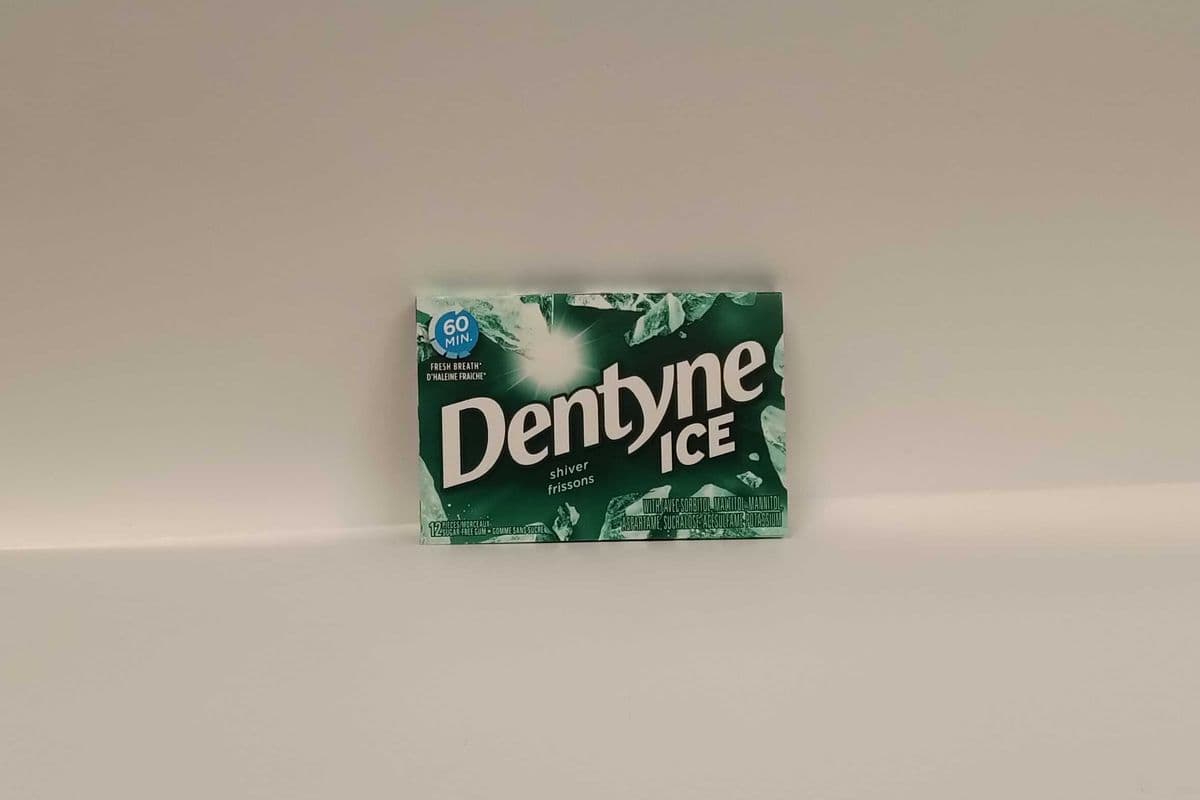 Dentyne Ice - Shiver - 12 Pieces
