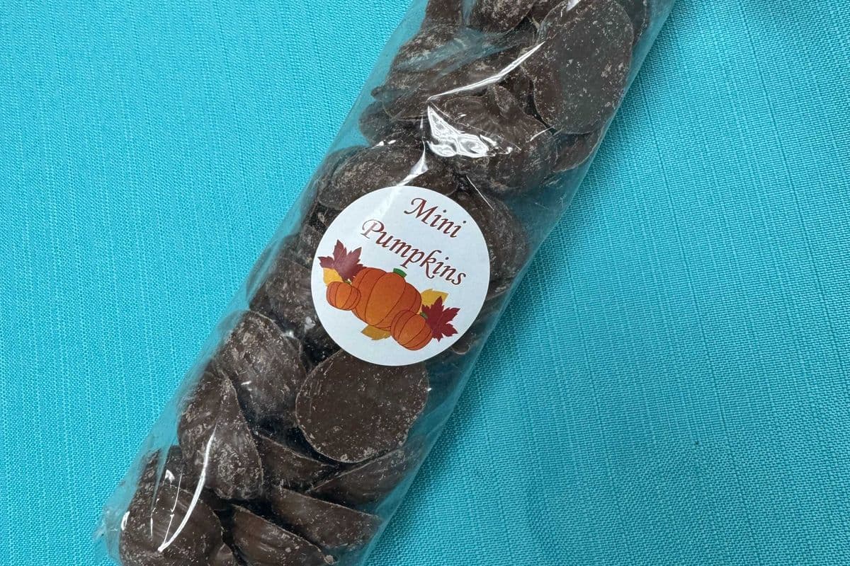 Mini Pumpkin Chocolates