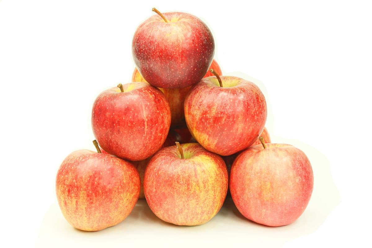 Apple Royal Gala Extra Fancy (per lb)