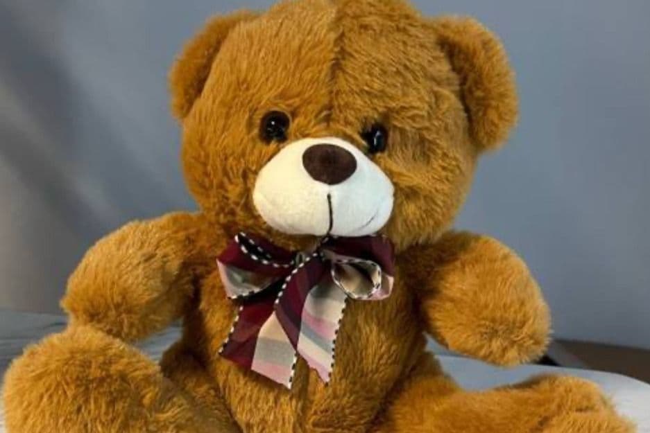 Adorable Cuddly Bear