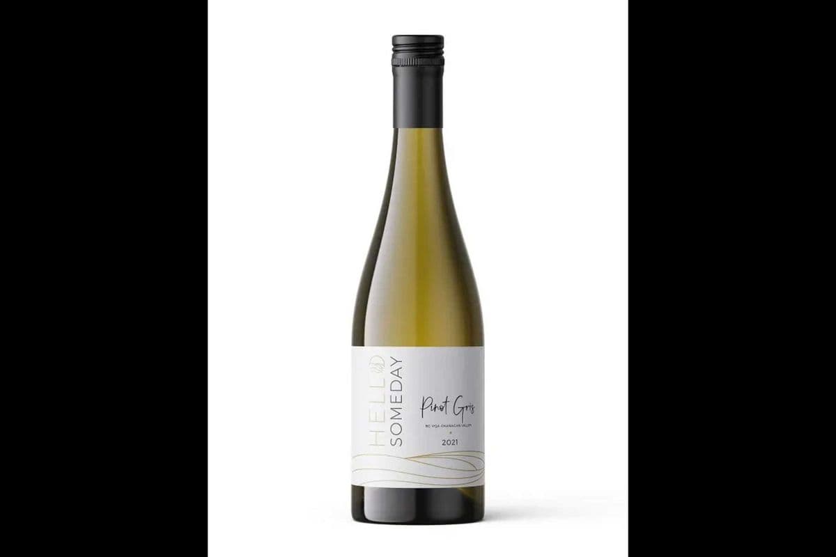 HELLO SOMEDAY PINOT GRIS (1 x 750ML)