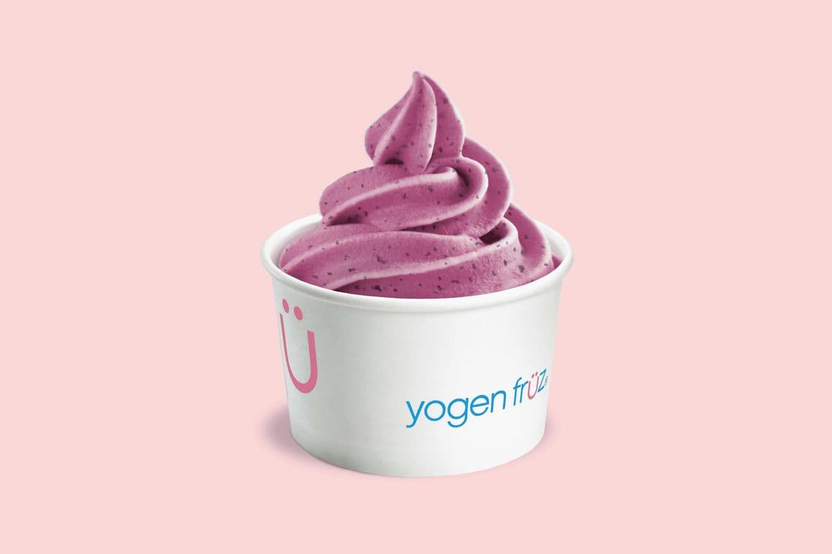 Blueberry Frozen Yogurt