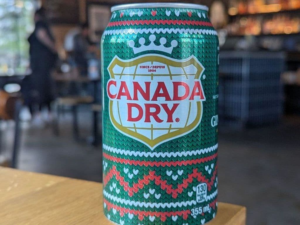 Ginger Ale 355ml Can