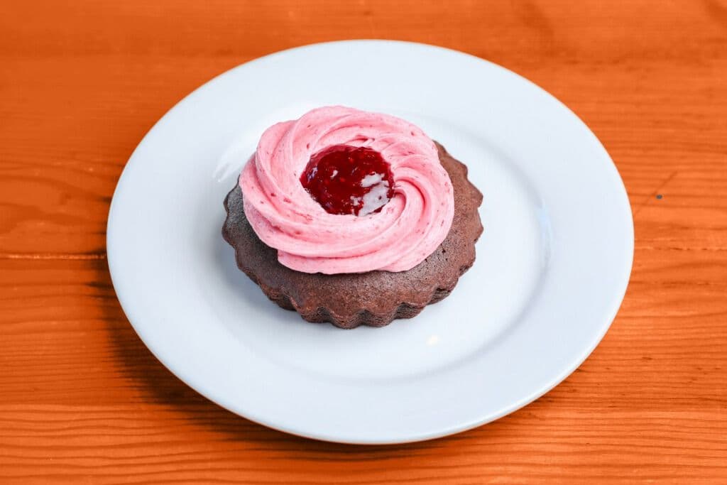 Vegan Raspberry Brownie