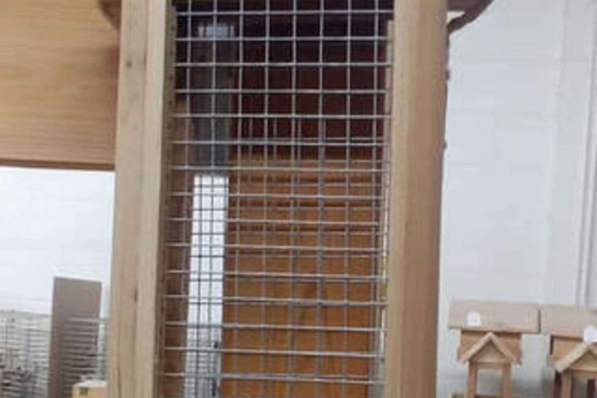 Suet and Double Suet Feeder (2.90 lb)