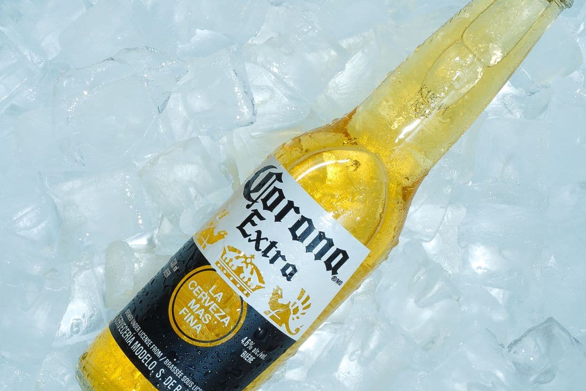 Corona (1 x 355 ml)