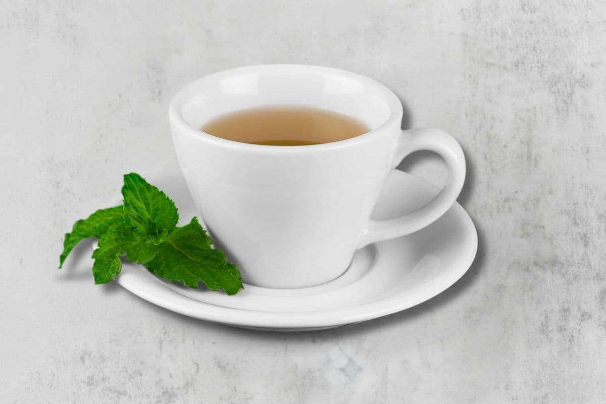 Tisane